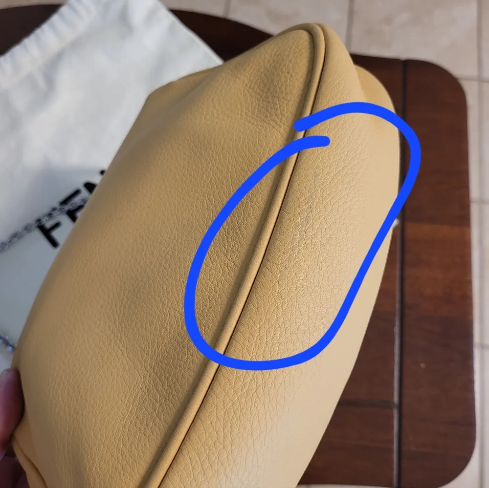 AUTH Fendi Fendista Pochette with Chain Crossbody bag - Picture 10 of 11